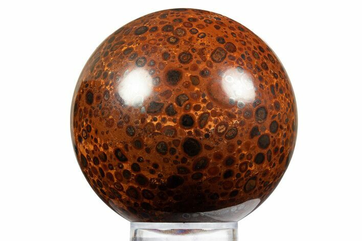 Polished Bauxite (Aluminum Ore) Sphere - Russia #316272